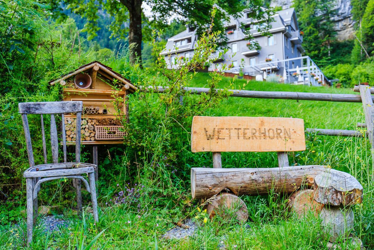 Wetterhorn 4*